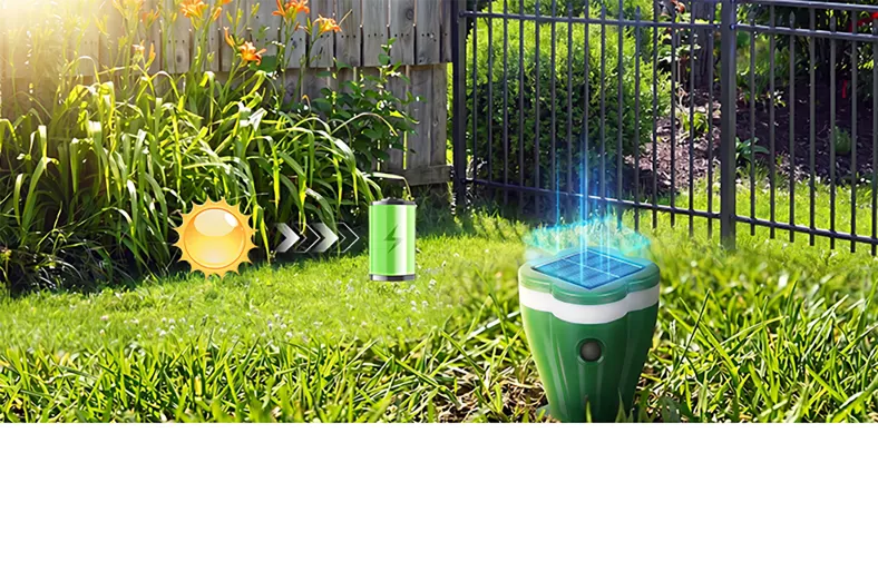 Répulsif solaire à ultrasons pour animaux d'extérieur - Pas d'insectes, Pas des Rats et Pas Des animaux dangereux en 3 JOURS