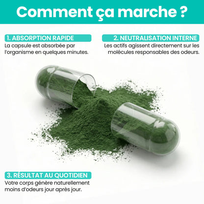 Complement Anti-Oudeur