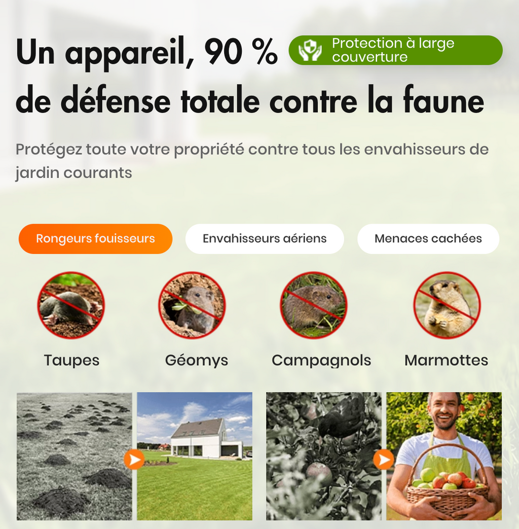 Répulsif solaire à ultrasons pour animaux d'extérieur - Pas d'insectes, Pas des Rats et Pas Des animaux dangereux en 3 JOURS