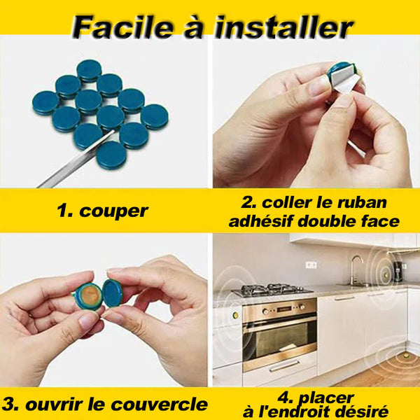 Application du gel anti-cafards