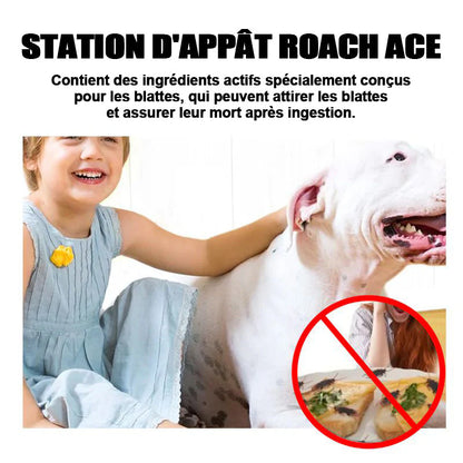 Piège Gel Anti-Cafards Efficace