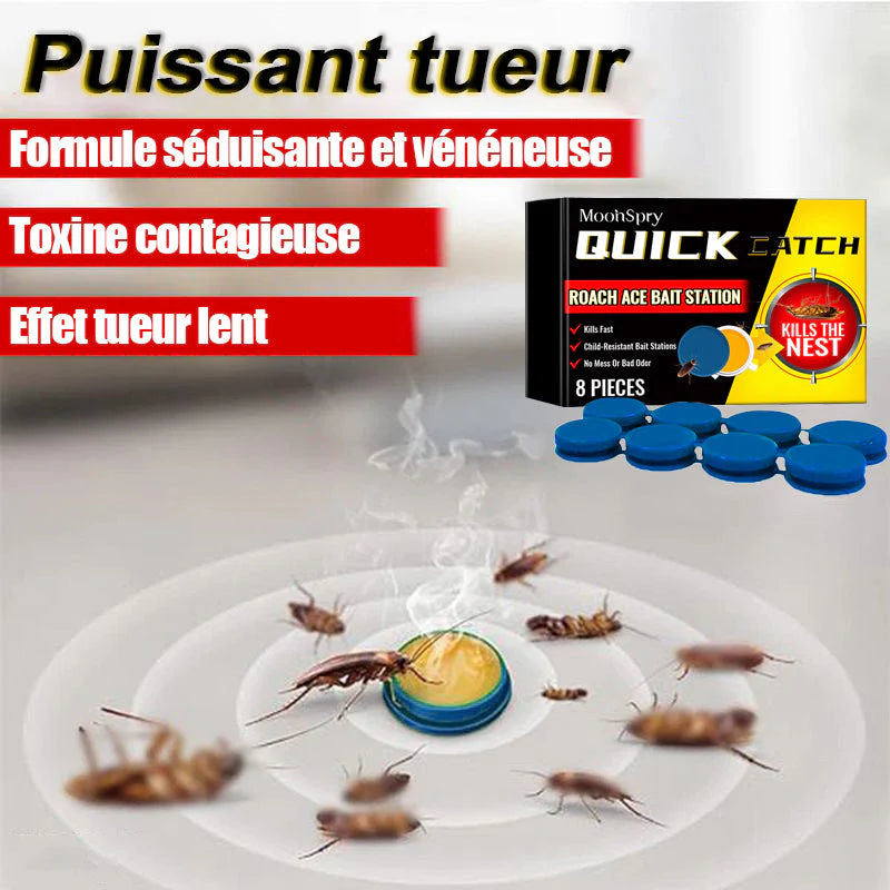 Avant et après utilisation