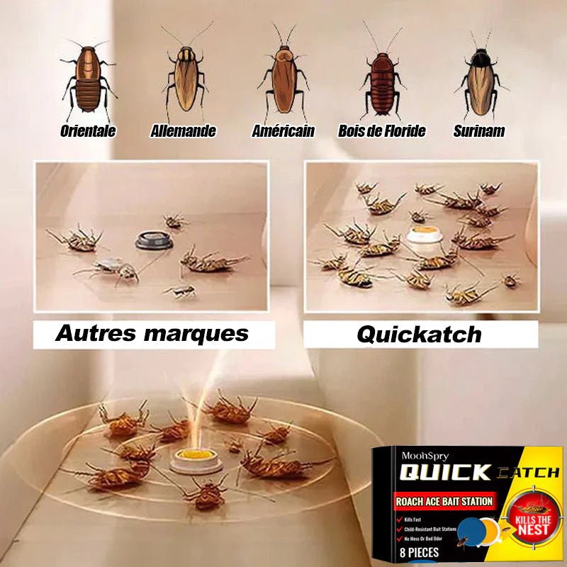 Piège Gel Anti-Cafards Efficace